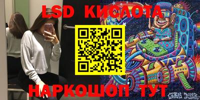 молекула духа Кингисепп