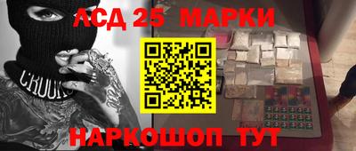 молекула духа Кингисепп