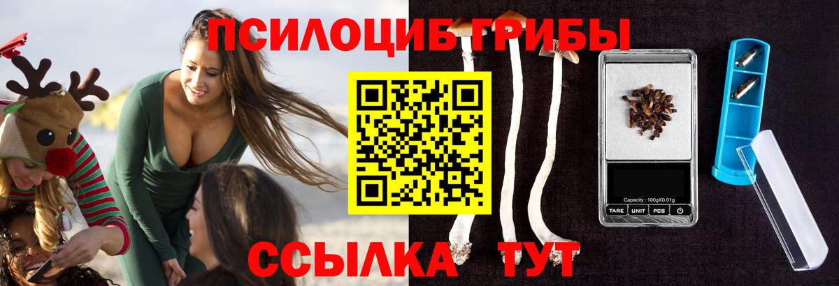 Псилоцибиновые грибы мицелий  Псилоцибиновые грибы мухоморы  Красный Сулин  Вход с VPN 