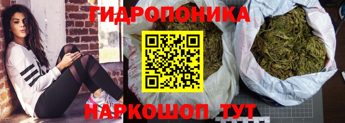 Марихуана сатива  Канабис Amnesia  Вход с VPN  Красный Сулин 